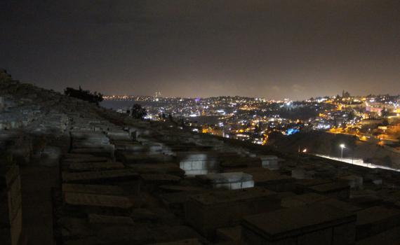 פרויקט חדש לעידוד הציבור לסייר בהר הזיתים