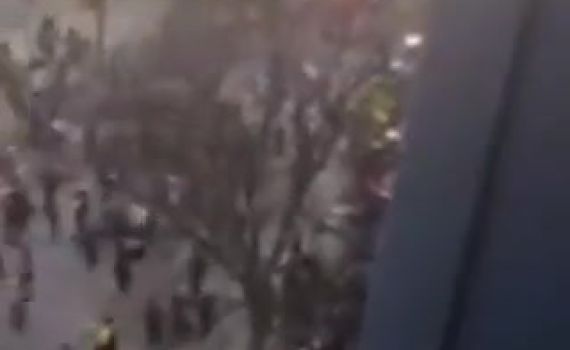 חשד במשטרה: הדורס מארה"ב "ברח מזירת פשע"