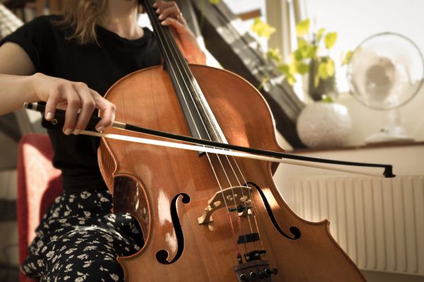 צ'לו לארוחת בוקר | ביקורת ספרים