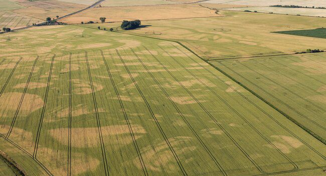 135,000 שקל להשקעה בקרקע ביהודה ושומרון