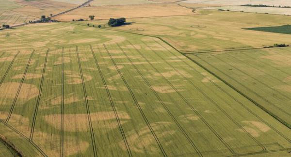 135,000 שקל להשקעה בקרקע ביהודה ושומרון