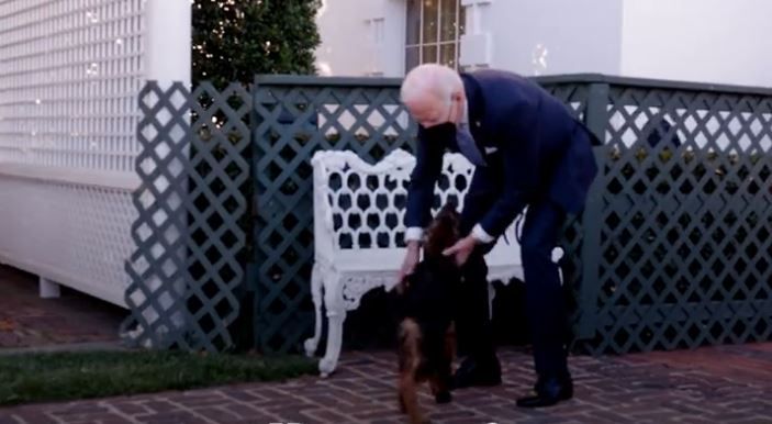 דייר נוסף בבית הלבן: החבר החדש של משפחת ביידן