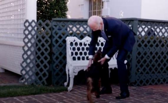 דייר נוסף בבית הלבן: החבר החדש של משפחת ביידן