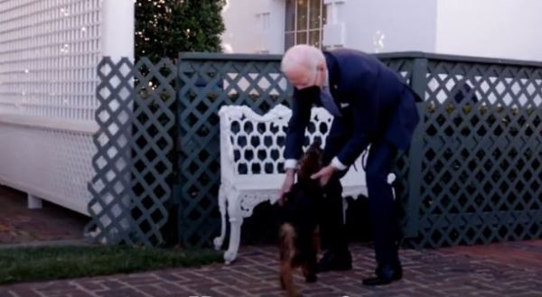 דייר נוסף בבית הלבן: החבר החדש של משפחת ביידן