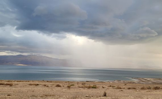 כמה חיכינו, ואיזה יופי זה: תמונות של חורף בישראל