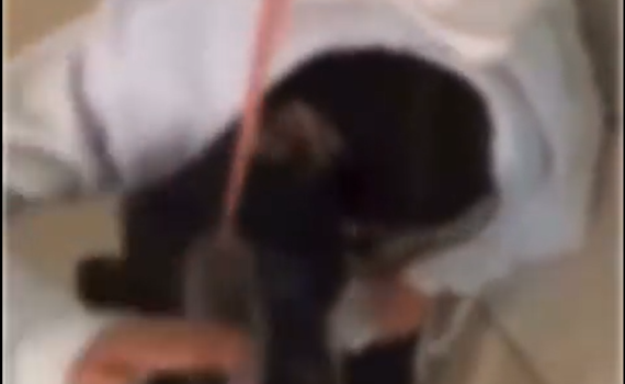 הנערה ששפכו עליה אקונומיקה: "הם צחקו"