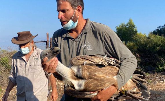 בגלל שפעת העופות: אתר טבע נוסף נסגר לכניסה