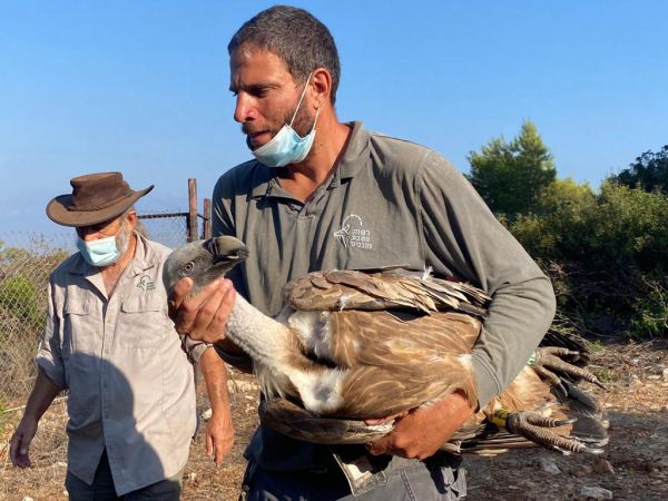 בגלל שפעת העופות: אתר טבע נוסף נסגר לכניסה