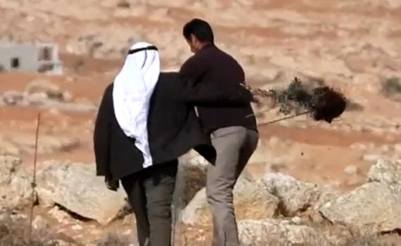 אלימות המתנחלים? צפו בתיעוד ושפטו עצמכם