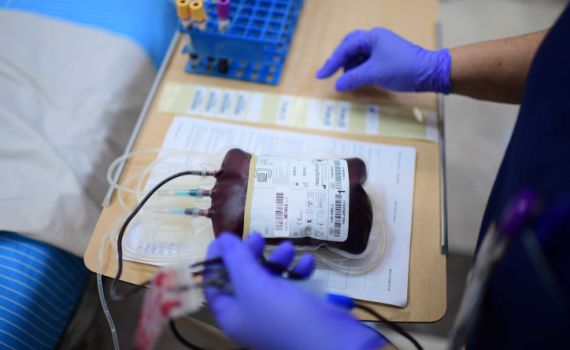 ישיבת ההסדר למד"א: מפסיקים לתרום דם