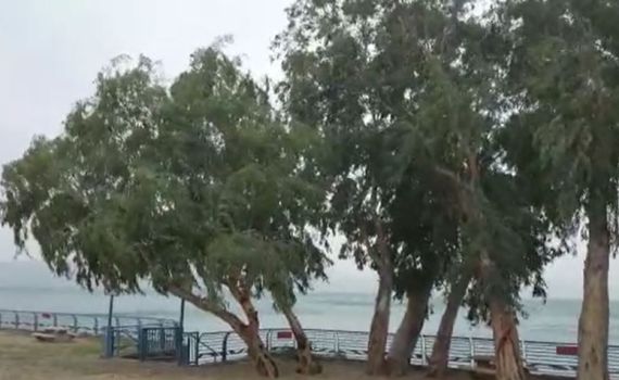 רוחות עזות בכנרת; ארבעה חופים נסגרו: צפו בתיעוד