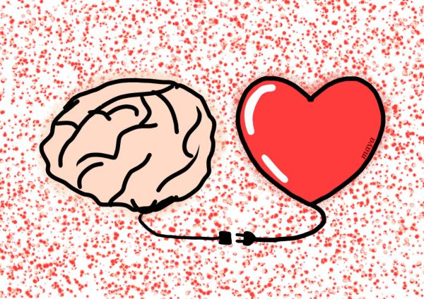 כשיש קצר בין המוח ללב
