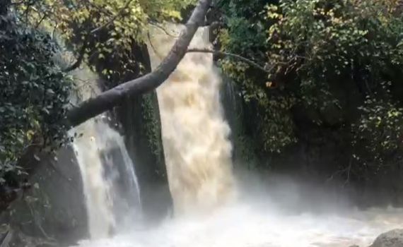 תיעוד מרהיב: זרימות אדירות במפלי הצפון. צפו