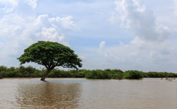 קר מאוד, רוחות חזקות וגשם: תחזית מזג אוויר לשבוע הקרוב