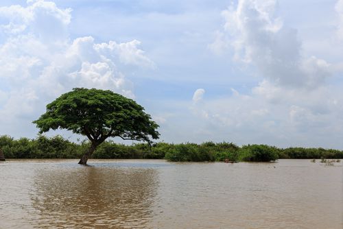 קר מאוד, רוחות חזקות וגשם: תחזית מזג אוויר לשבוע הקרוב