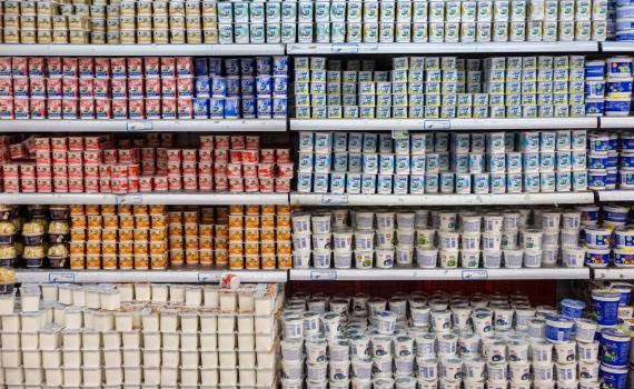 סוף סוף: הוזלה משמעותית של יוגורט ומעדני חלב