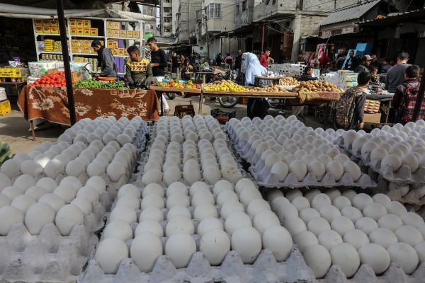החקלאים ניצחו: הרפורמה בענף הביצים תשתנה