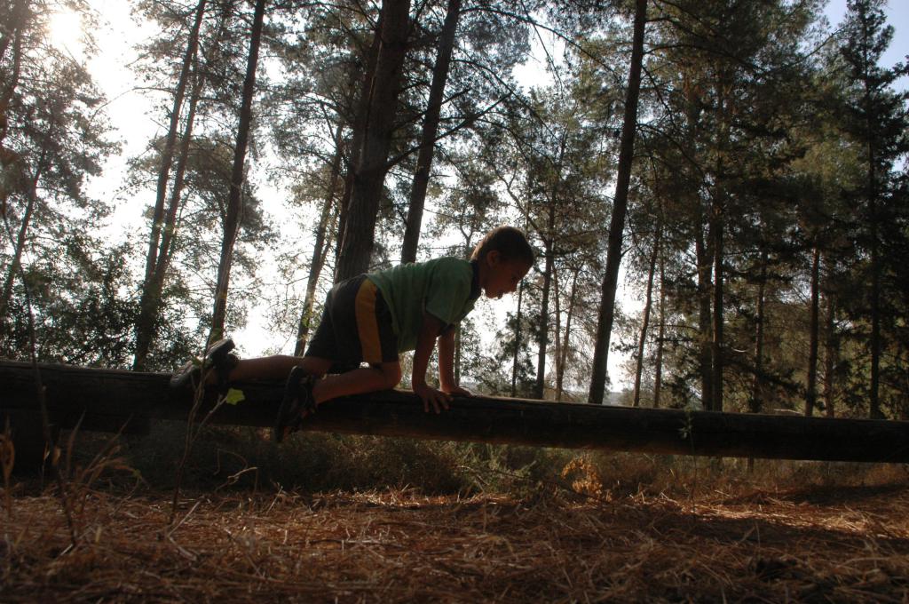 120 שנה לקק"ל: חוגגים יום הולדת בסיורים ברחבי הארץ