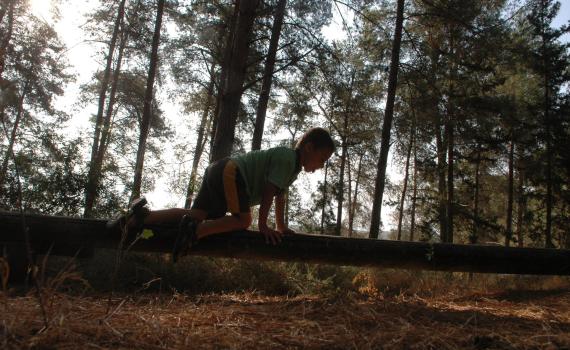 120 שנה לקק"ל: חוגגים יום הולדת בסיורים ברחבי הארץ