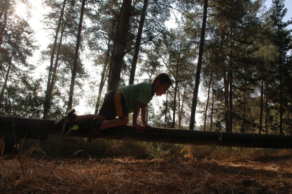 120 שנה לקק"ל: חוגגים יום הולדת בסיורים ברחבי הארץ