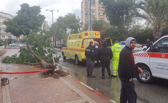 קריסת העץ בנתניה: מצבו של הפצוע נותר קשה