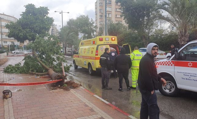  נתניה: עץ נפל על גבר כבן 40 והוא נפצע אנושות