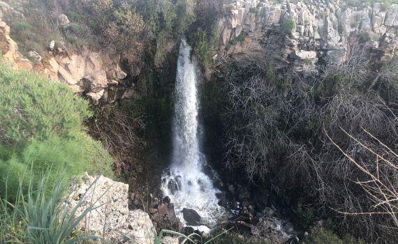 צפו: התמונות המרהיבות של השלג והזרימות בצפון