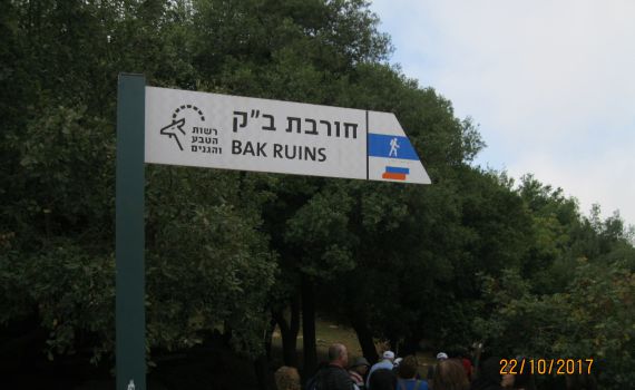 לכבוד ט"ו בשבט: הישוב החקלאי הראשון בארץ