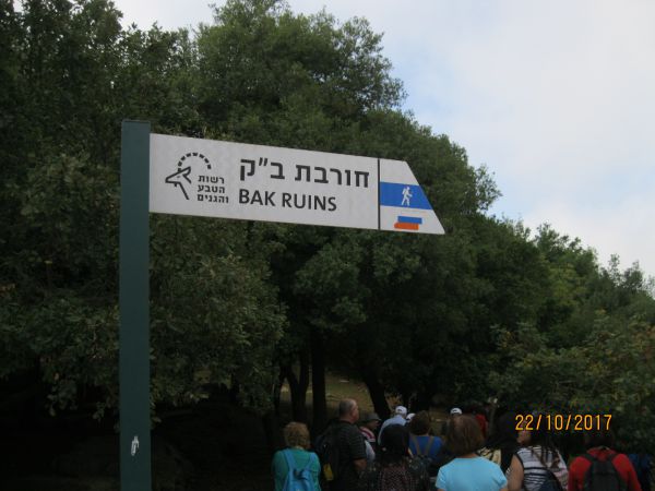 לכבוד ט"ו בשבט: הישוב החקלאי הראשון בארץ