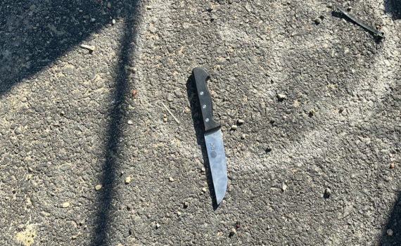 סוכל נסיון פיגוע: מחבלת נורתה בכפר חוסאן