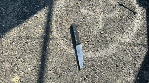 סוכל נסיון פיגוע: מחבלת נורתה בכפר חוסאן