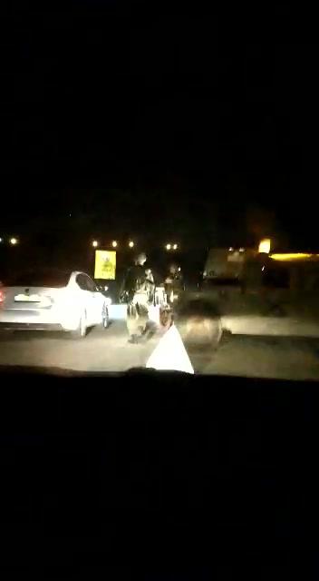 צפו: רכב ערבי עובר; רכב יהודי נעצר במחסום