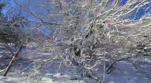 הסערה תימשך; השלג יתפשט: תחזית מזג אוויר