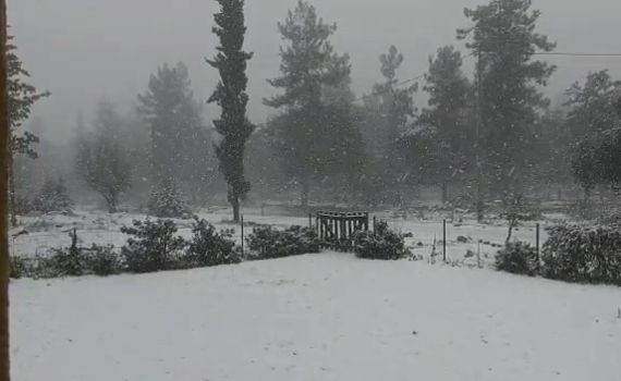 נערכים לשלג: מוסדות החינוך בהודעה להורים