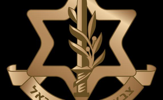 מהיום: כך נראה הסמל החדש של צה"ל