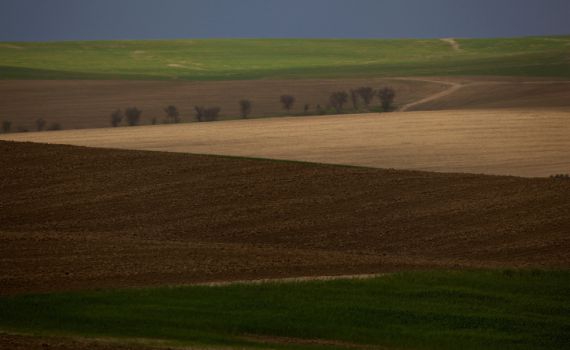 צעד נוסף לקראת הקמת יישוב חדש בעוטף עזה