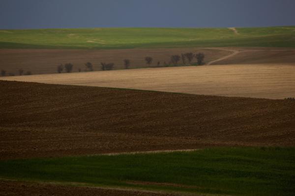 צעד נוסף לקראת הקמת יישוב חדש בעוטף עזה