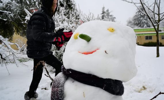 הפעם באמת: ביום רביעי – אלפיס תוריד שלג בירושלים