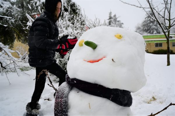 הפעם באמת: ביום רביעי – אלפיס תוריד שלג בירושלים