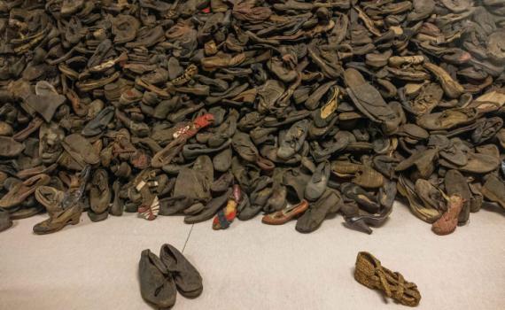 הקשר שבין ילדות בשואה לפוסט טראומה וזקנה