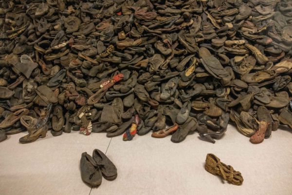 הקשר שבין ילדות בשואה לפוסט טראומה וזקנה