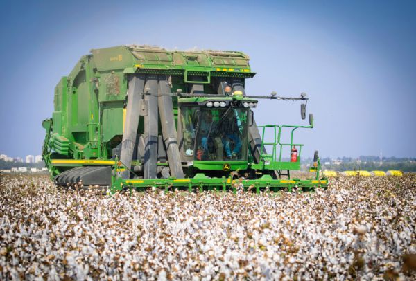 אצל חבריי מהקיבוץ, משהו בקשר הטבעי לארץ ניתק