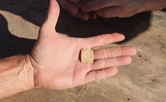 קמע עתיק עם האות א' ופרח לוטוס נמצא בשומרון