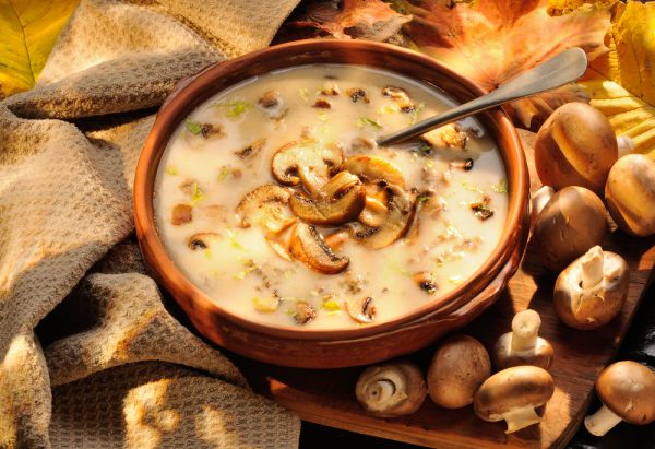 חורפי ומנחם: מתכון למרק פטריות ושמנת