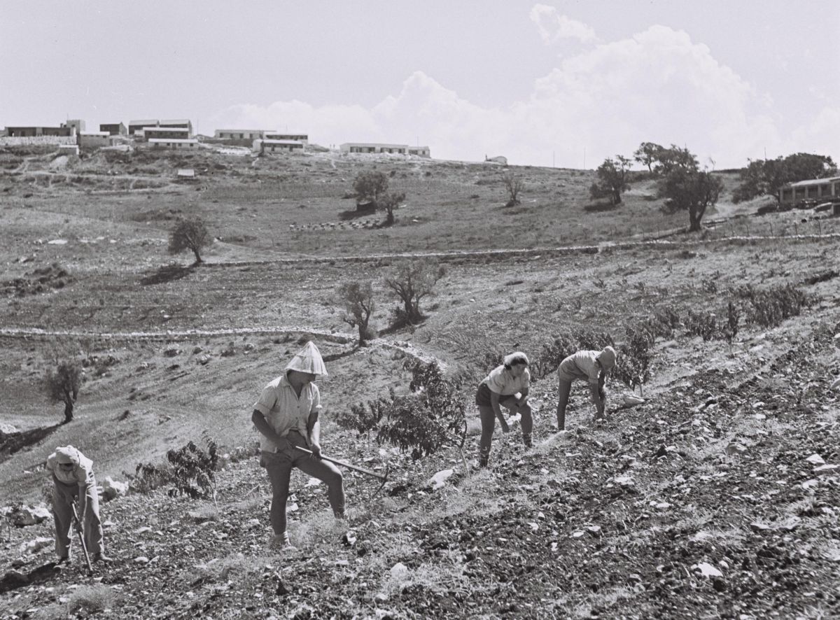 היום בהיסטוריה: חלל נצר אחרון הצעיר ביותר