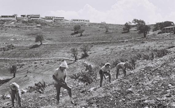 היום בהיסטוריה: חלל נצר אחרון הצעיר ביותר