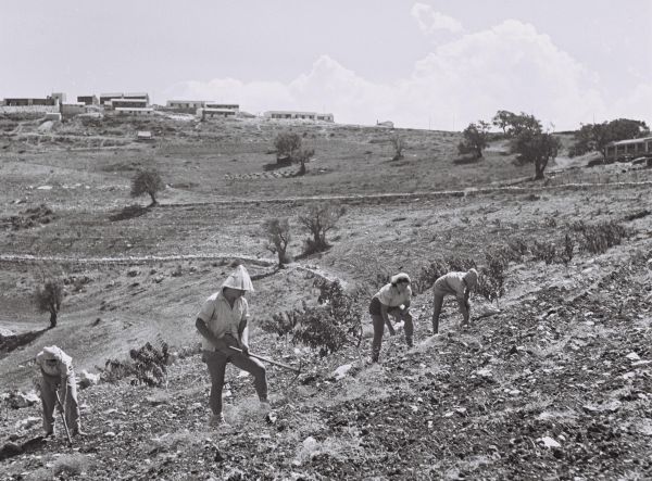 היום בהיסטוריה: חלל נצר אחרון הצעיר ביותר