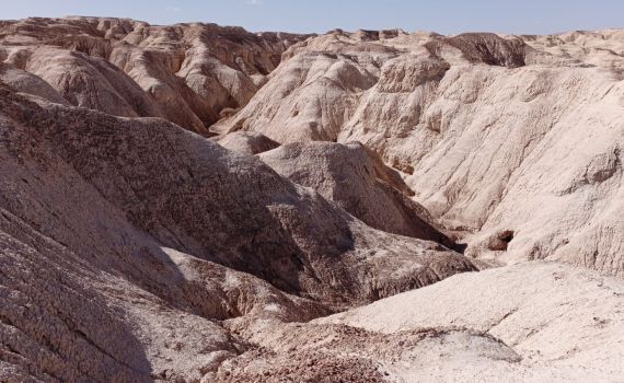 שלד אדם נמצא במערה במדבר יהודה
