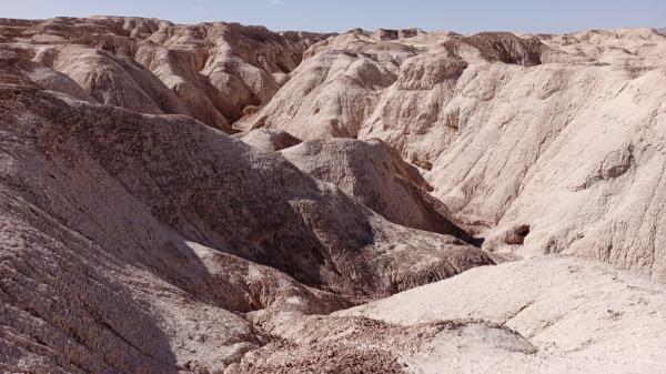 שלד אדם נמצא במערה במדבר יהודה