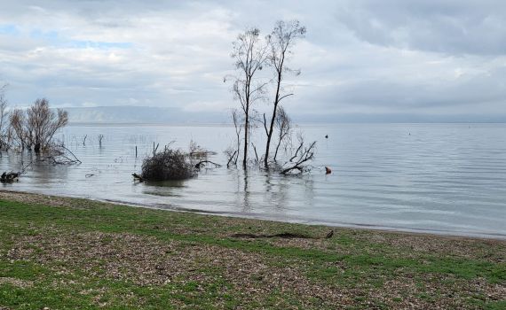 מטורף: מפלס הכנרת בעוד זינוק אדיר